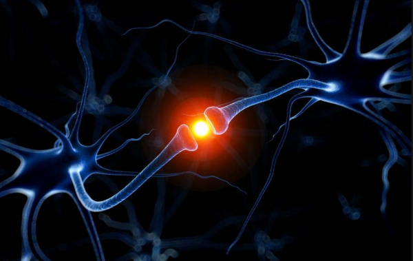 Modificar el cerebro con luz - neurociencia